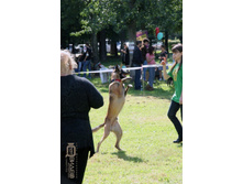 IMG_3922.jpg
