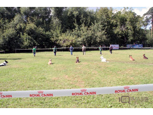 IMG_3744.jpg