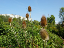 23.08.2013 12:00:33 ��������