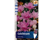 ������������ ���������