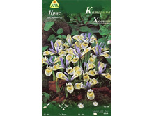 ���� �������� �������