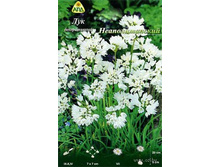 ��� ������������ �������������� 25��