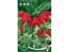 ������ ������������� ����� 1��