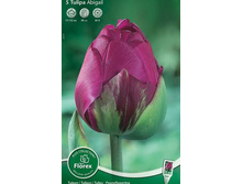 ������� ����������� �������� ������� ������ 5��