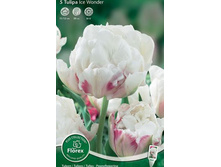 ������� ����������� �������� ������� ��� ����� 5��