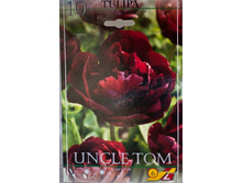 ������� ���� �������  ���� ��� 8��