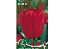 �������  ������ ������ 8��