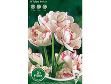 ������� �������������� ������� 8��