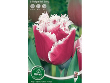 ������� ����������� ���� ���� 8��