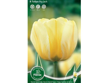 ������� ������� ��� ���� 8��