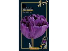 ������� ���� �����  ��� ������� 8��