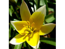 ������� ������� ����������� 10��