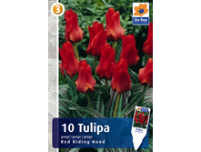 ������� ��� ������ ��� 5��