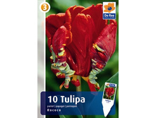 ������� ������ 5��