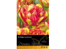 ������� �������� 10��