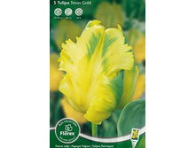 ������� ����� ���� 5��