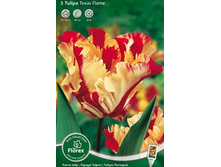 ������� ����� ����� 5��