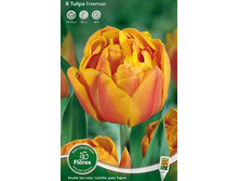 ������� ������ 8��