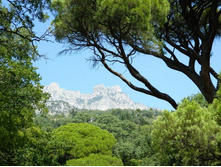 ���� 2013.08.11 12.55.31.JPG