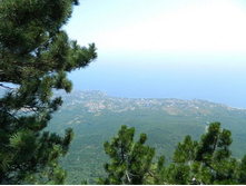 ���� 2013.08.11 14.06.12.JPG