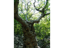 ���� 2013.08.11 14.24.30.JPG