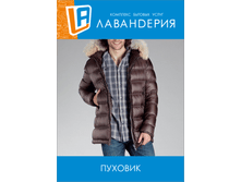 ������ ��������