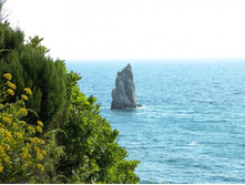 ���� 2013.08.11 10.21.23.JPG