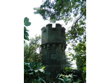 ���� 2013.08.11 12.15.58.JPG