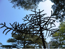 ���� 2013.08.11 12.52.44.JPG