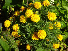 23.08.2013 22:58:17 ��������