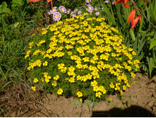 23.08.2013 22:59:33�������� ���������������