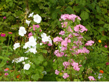 23.08.2013 22:59:54 ��������