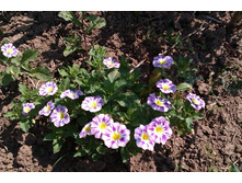 23.08.2013 23:00:41������������-������ �����������