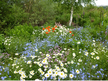 23.08.2013 23:25:11����,������� �����������,���,����� �������