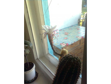 ����0027.jpg