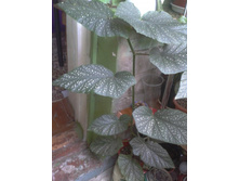 2013-08-24 14.12.35.jpg