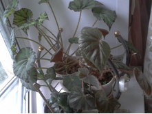 2013-08-24 14.13.38.jpg