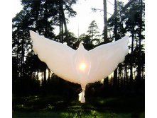 ��������� 1 ��. - 70 ������