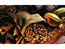 ����� �����. 170 ���.jpeg