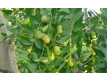 ������ �����  278 ���. ��������.