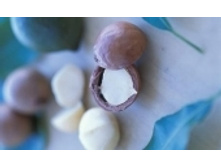 ��������� �����  181 ���. ��������.