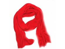 ���� ����������. �����: �������, �����. 500�