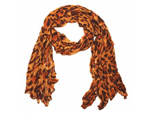 ������ ����������� ���������. 270 �