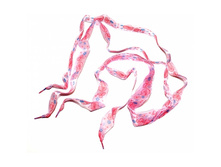 ������ �������, � ������������. 30 �.