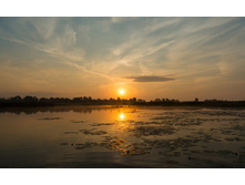 ���� �� ������.jpg