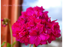 ��������� ���������� ����������