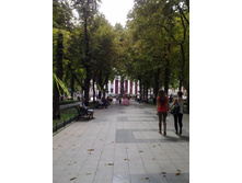 ���������� �������