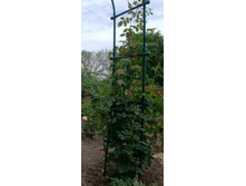 ������� ������� ����� 1.jpg