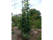 ������� ������� �����.jpg