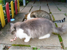 ��� ����.JPG